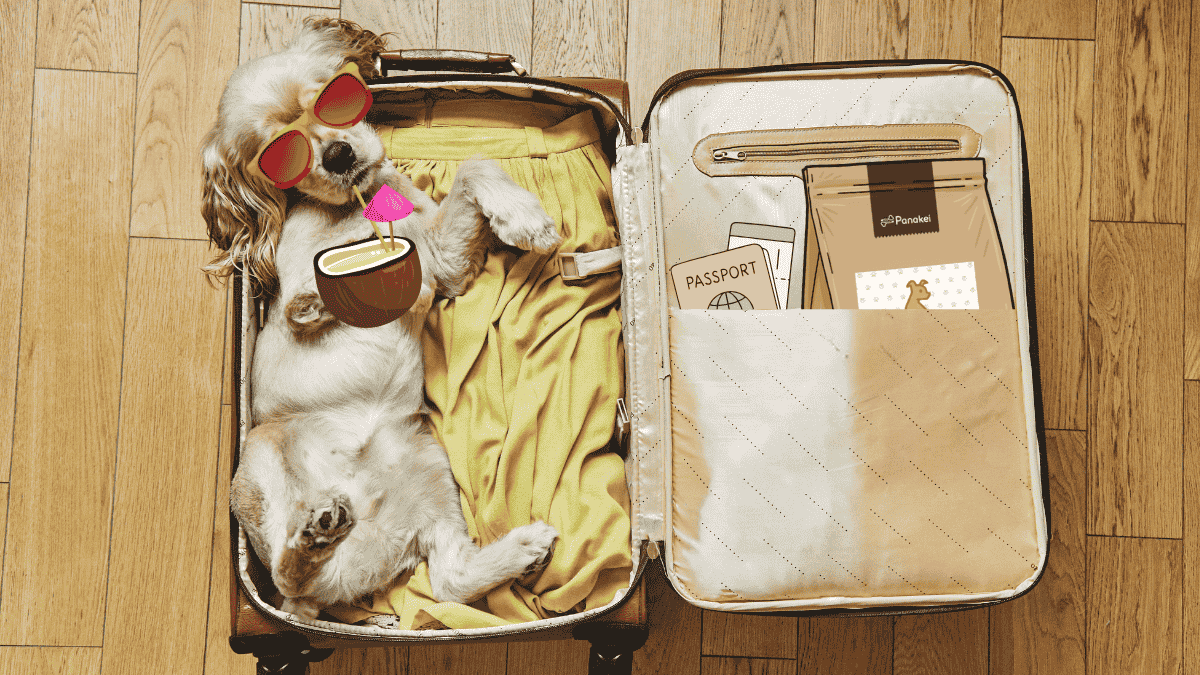 Ubytování se štěnětem